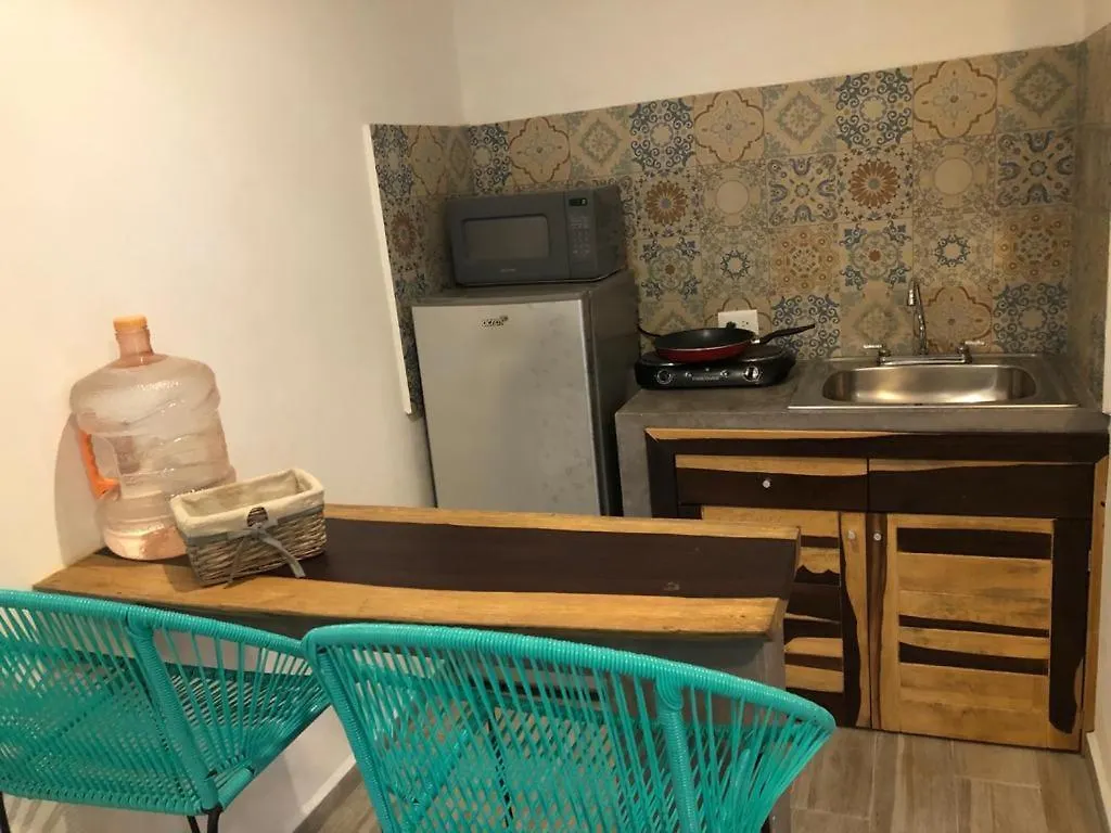 公寓式酒店 La Fortaleza 普拉亚卡门 墨西哥